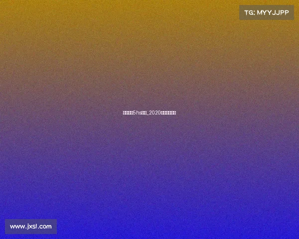 电子竞技5hs决赛_2020电子竞技大赛